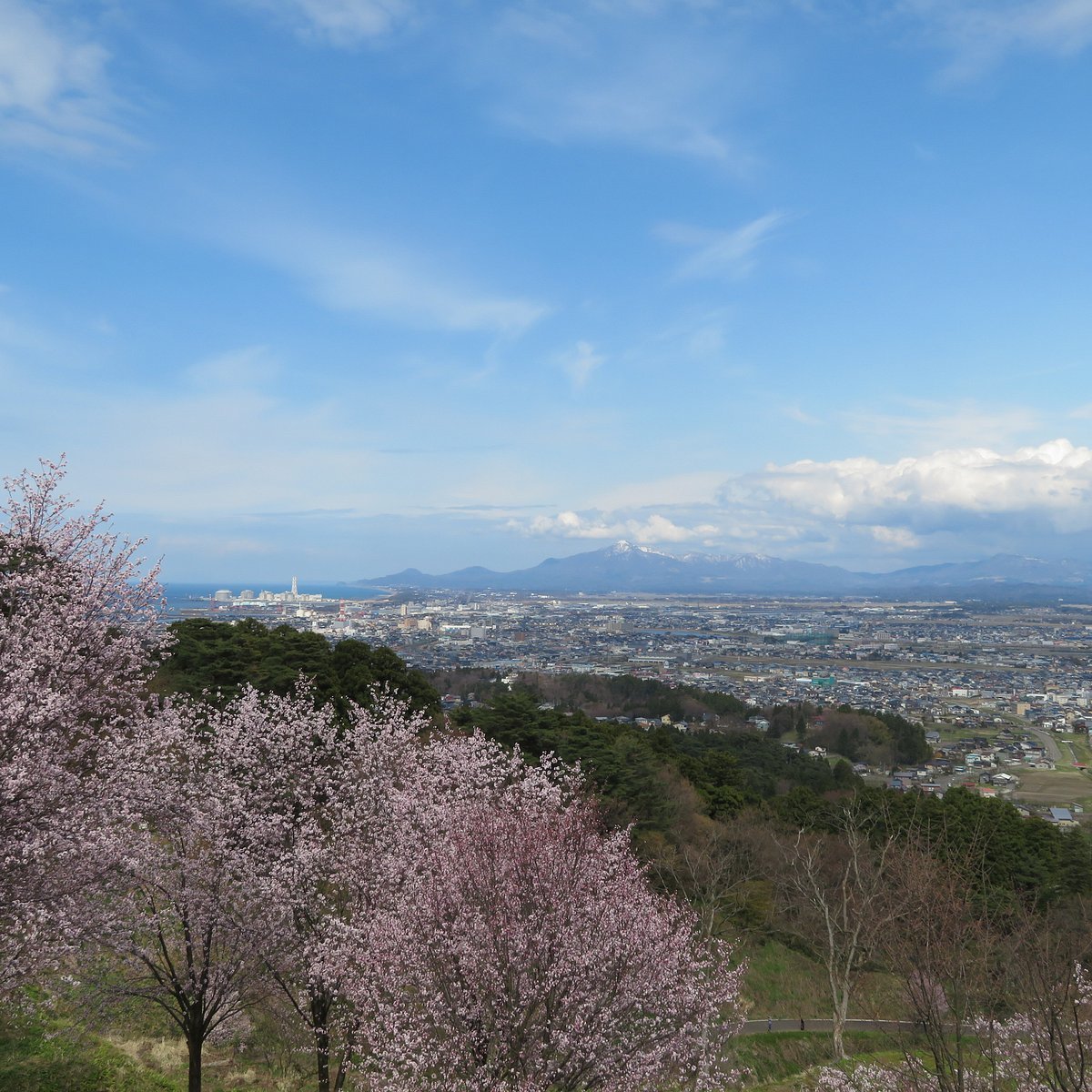 🏯 카스가야마 성터(가스가야마조아토) 이미지 6